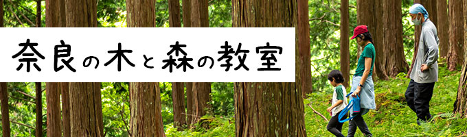 奈良の木と森の教室