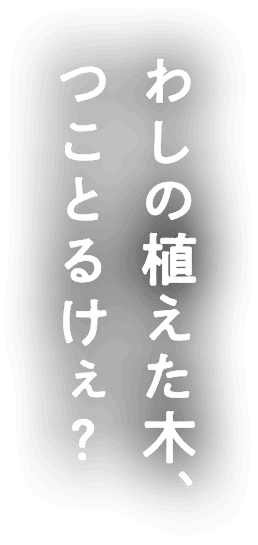 わしの植えた木、つことるけぇ？