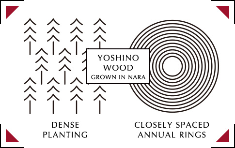 YOSHINO WOOD Grown in Nara
