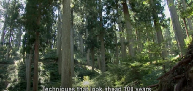 Yoshino Cedars Kawakami