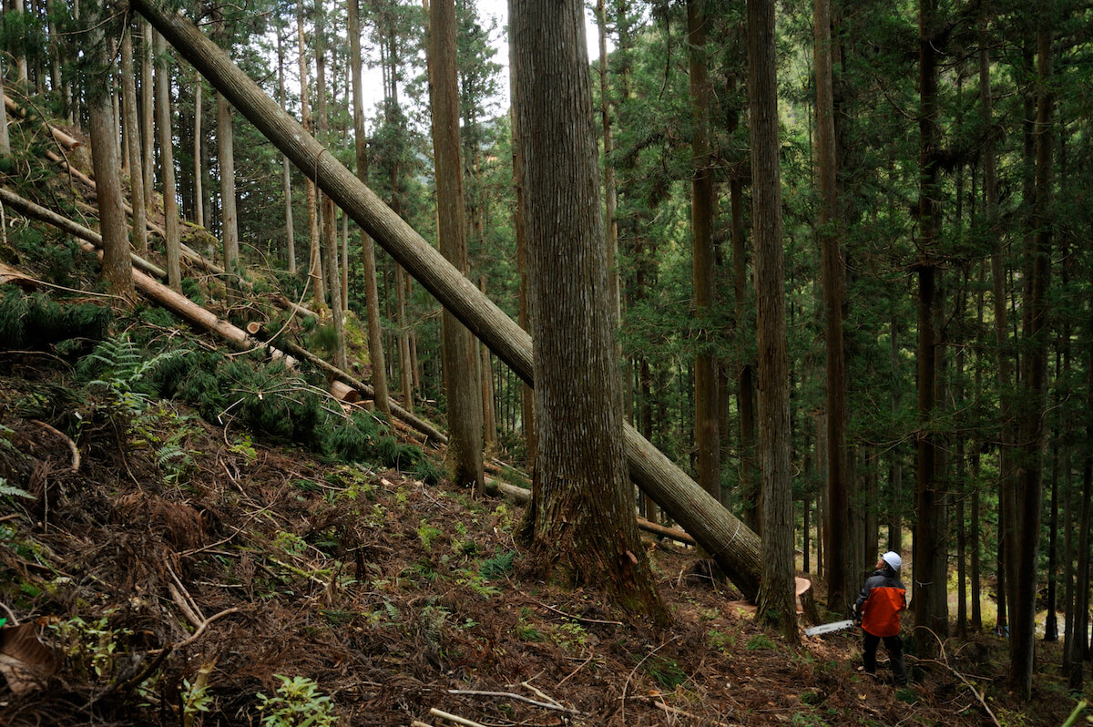 【後編】伐採現場から特殊加工工場まで、現場で奈良の木の魅力を体感する＜奈良の木見学ツアー＞レポート