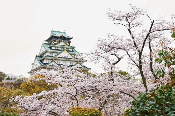 日本の春を感じよう。お花見や春のおでかけにおすすめのスポット8選！