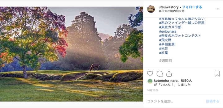 【レポート】奈良の木に触れる！木育イベント＜奈良の木づかいフェスタ＞が開催