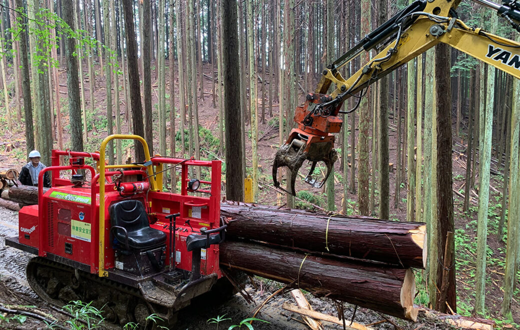 林業や木材を扱う仕事とは？“木しごと”現場のウラ側をご紹介！ #今日の奈良の木