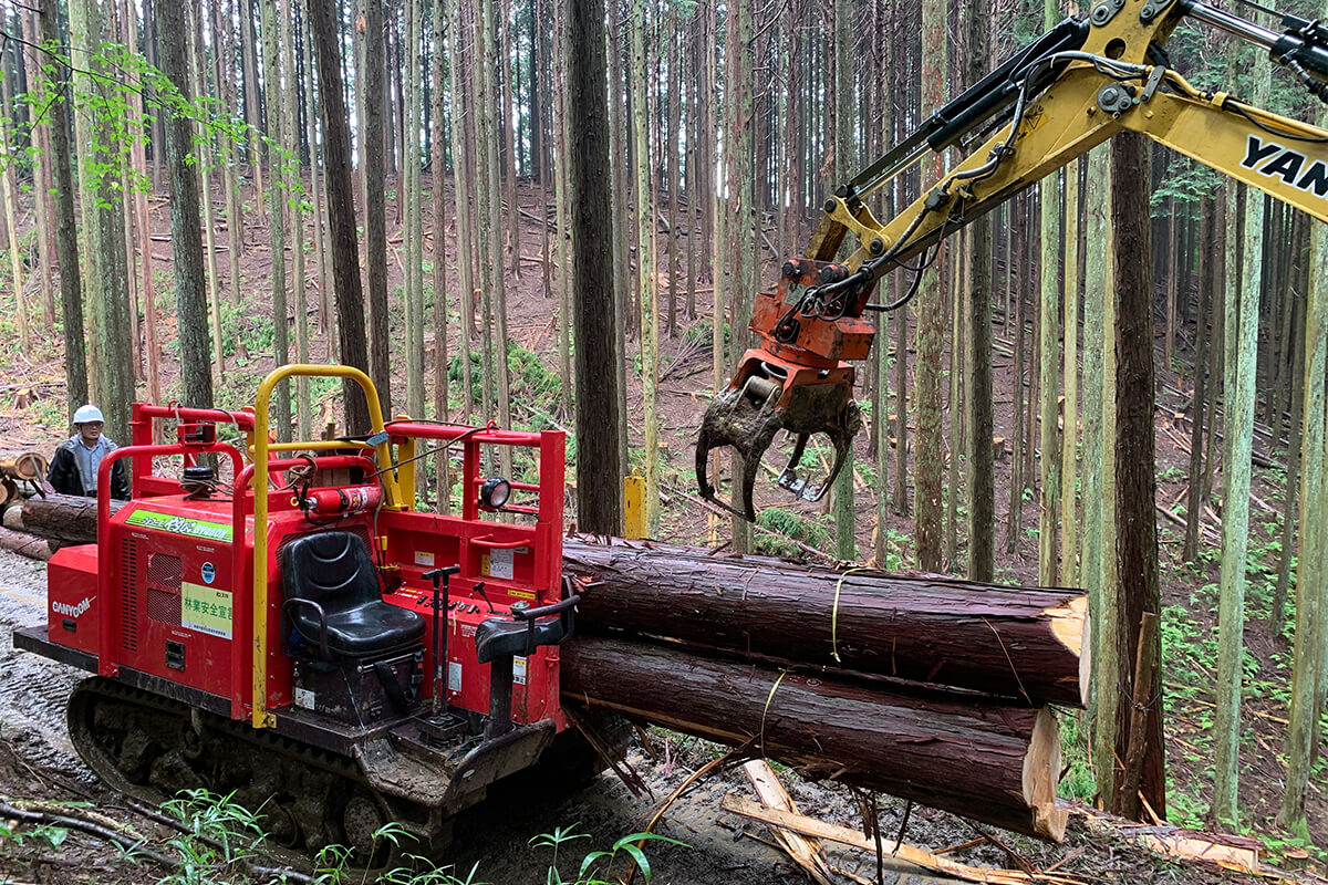 林業や木材を扱う仕事とは？“木しごと”現場のウラ側をご紹介！ #今日の奈良の木