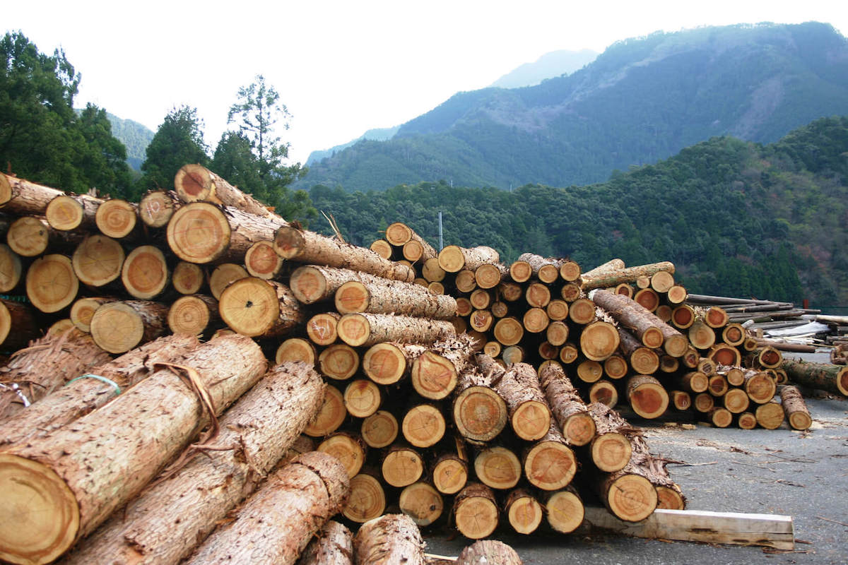 木桶の文化を残したい。小豆島の醤油づくりと吉野杉が「木桶職人復活プロジェクト」にこめる想い