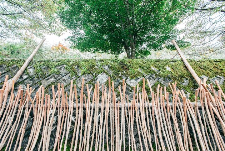 芸術祭＜MIND TRAIL 奥大和 心のなかの美術館＞に見る“奈良の木”の魅力と新たな可能性