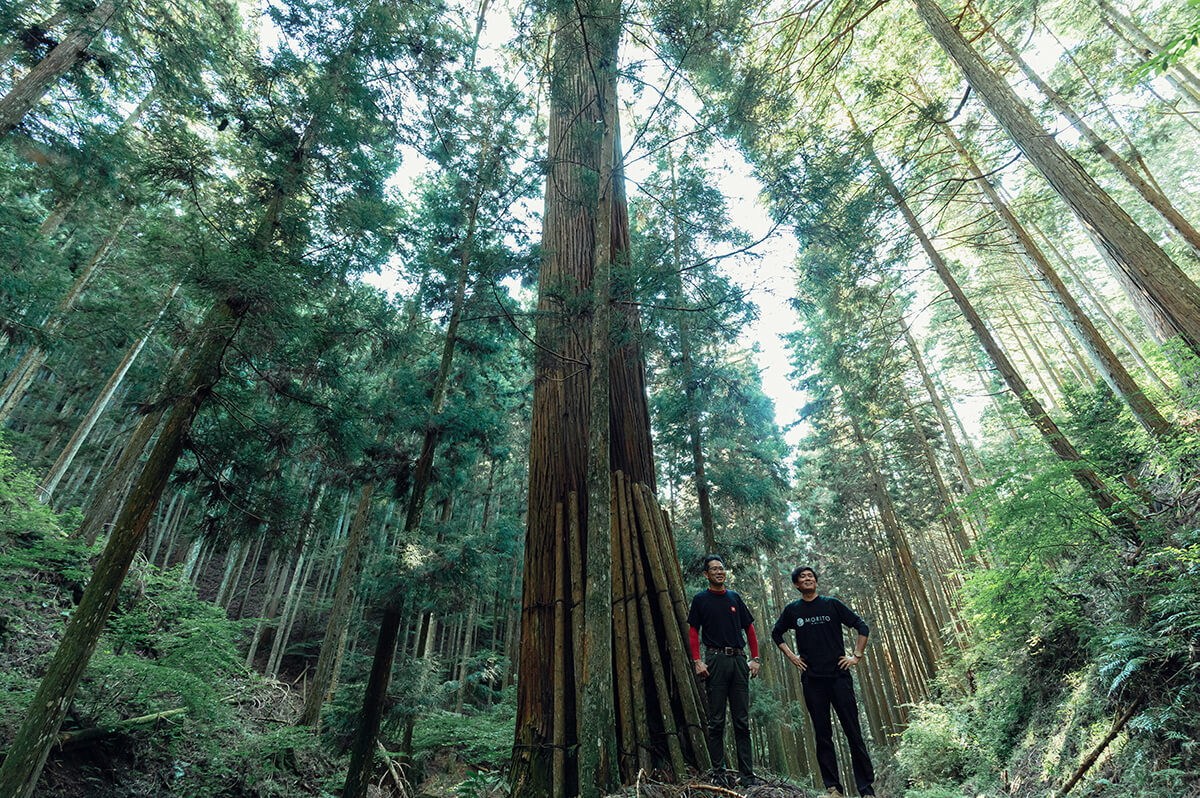 木の国にっぽんで約500年続いてきた奈良の林業を支える若手に聞く「今とこれから」