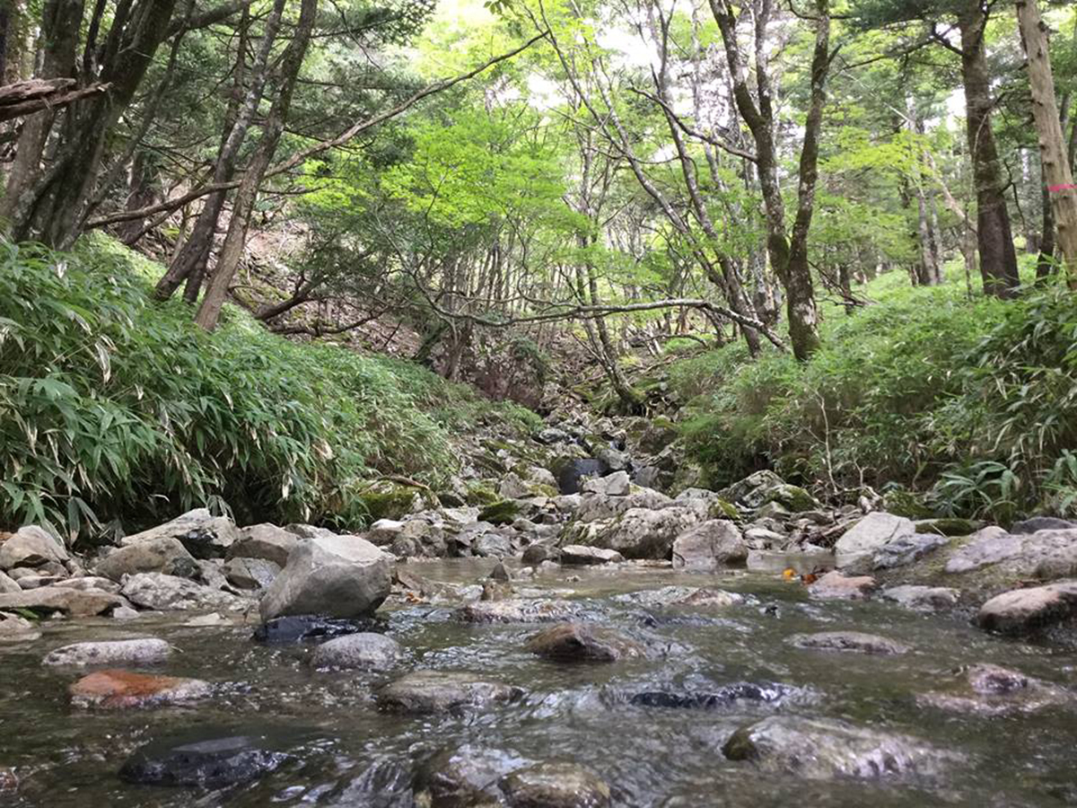 吉野の山が育む産物＜奈良の木マルシェ～山からのおくりもの～＞が開催決定！