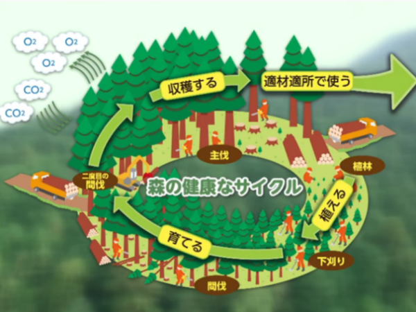 奈良の木PR動画【第３回・奈良の木を使おう！】