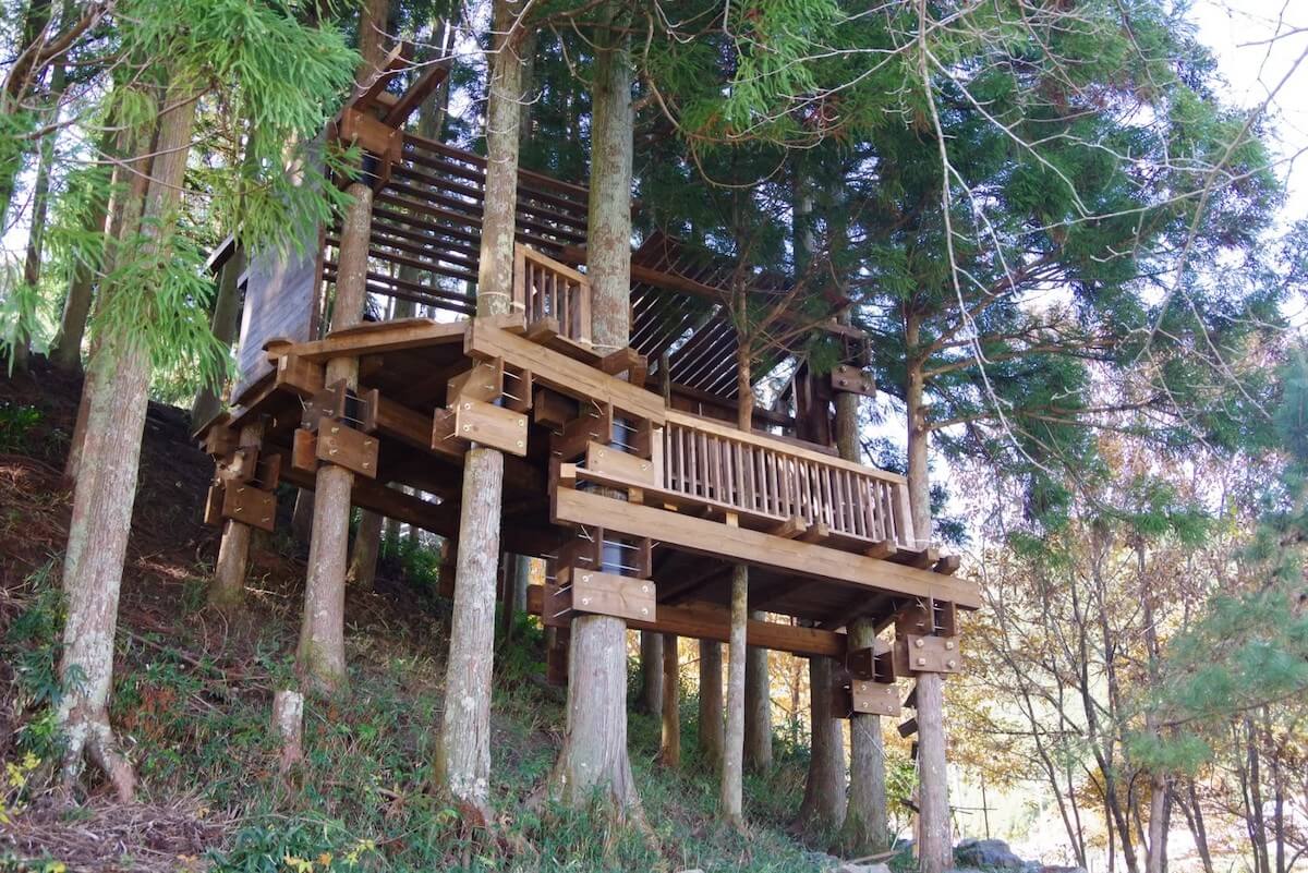 吉野杉のツリーハウスで地域活性を。近畿大学「TSURiHA」メンバーに聞く、町と奈良の木の魅力