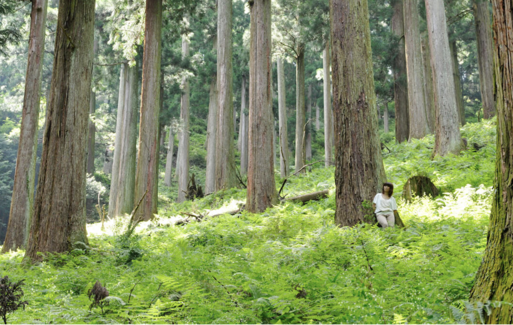 奈良とTSUTAYAがコラボ！代官山蔦屋書店にて＜『奈良の木』のある暮らし〜森からの贈り物〜＞開催決定！