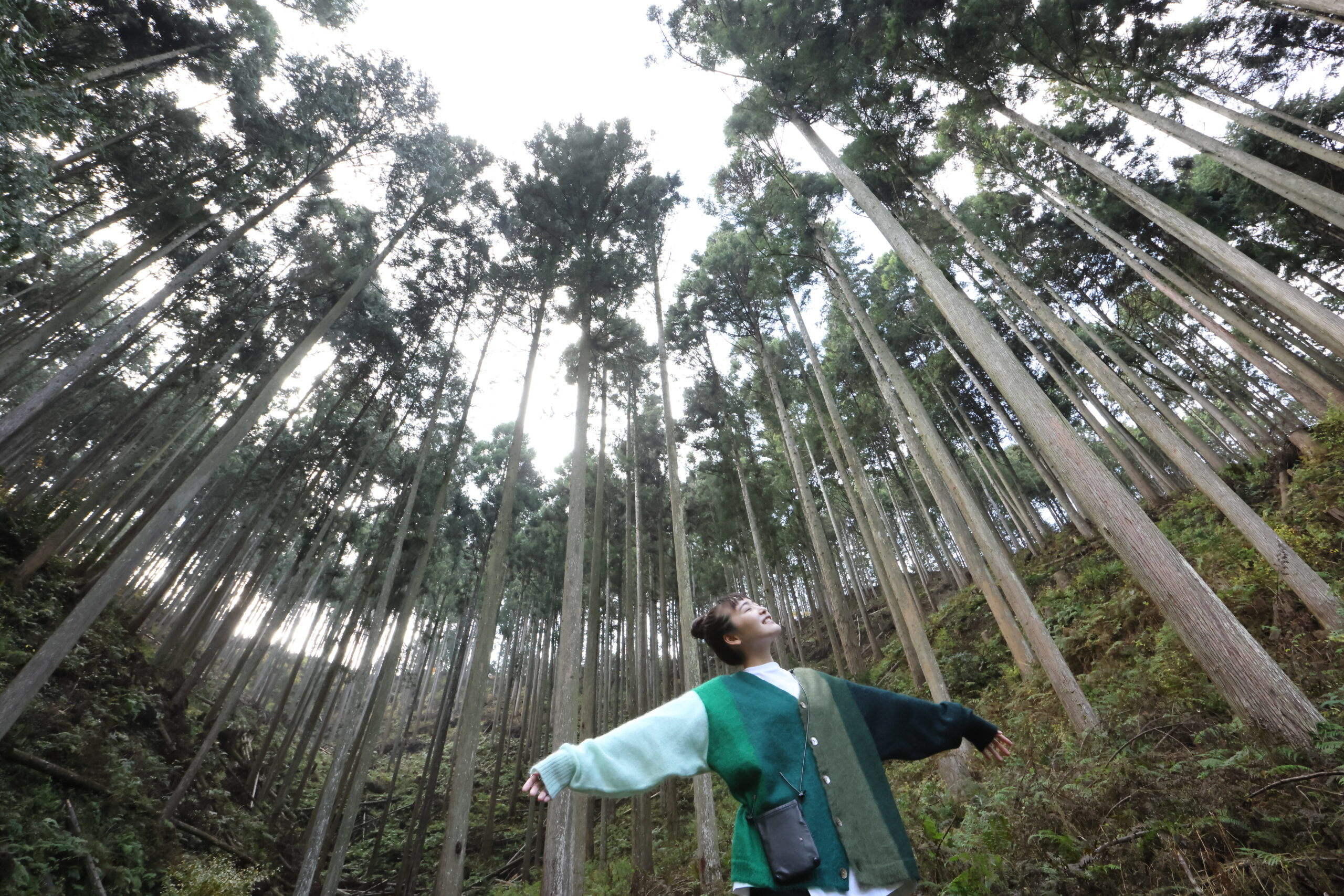 “サウナの女王”清水みさとが、再び故郷・奈良へ！サウナに使われる木材ができるまでを徹底リポート！