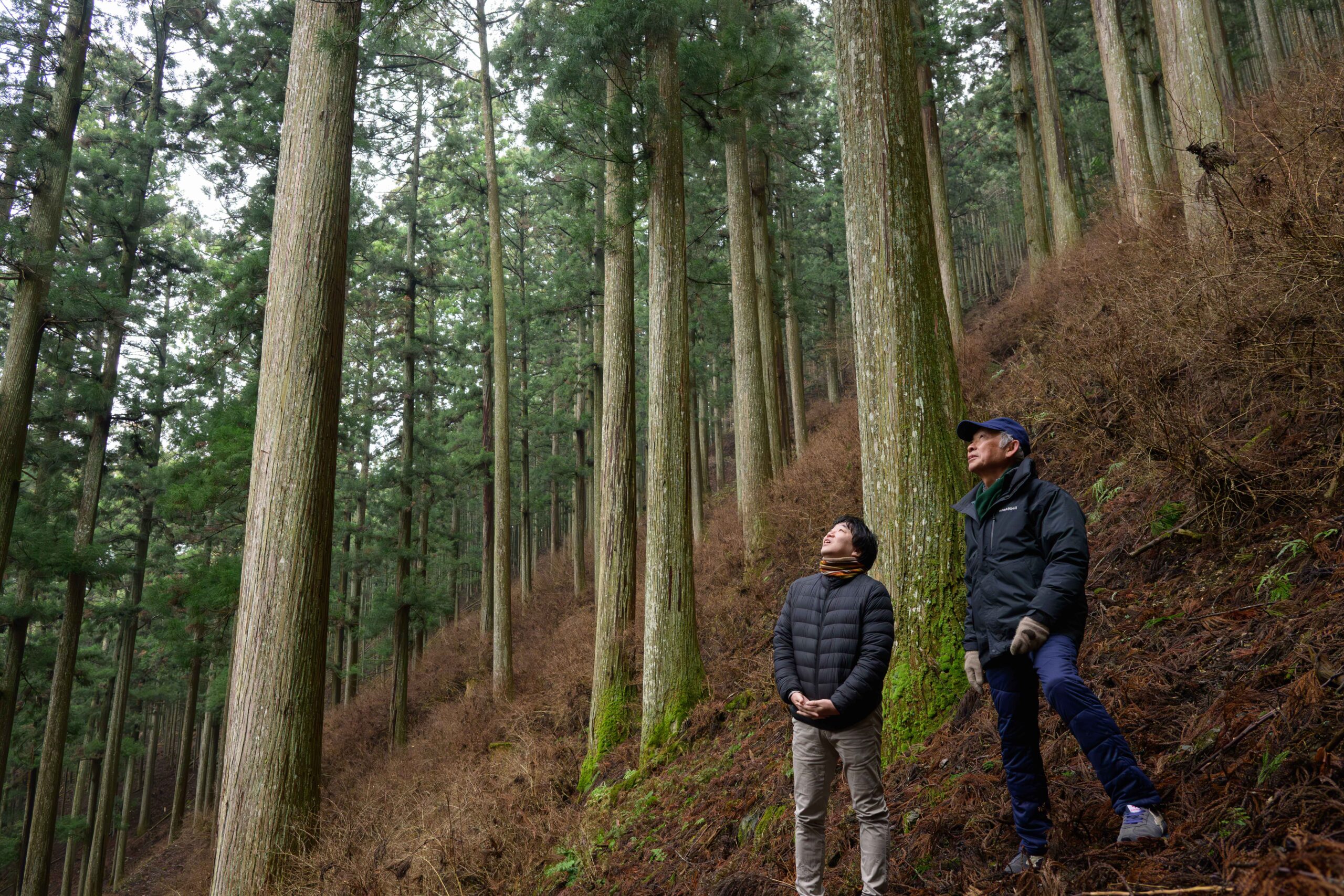 現代の山主ふたりに聞く！「山を守る」ための新しい林業のカタチ