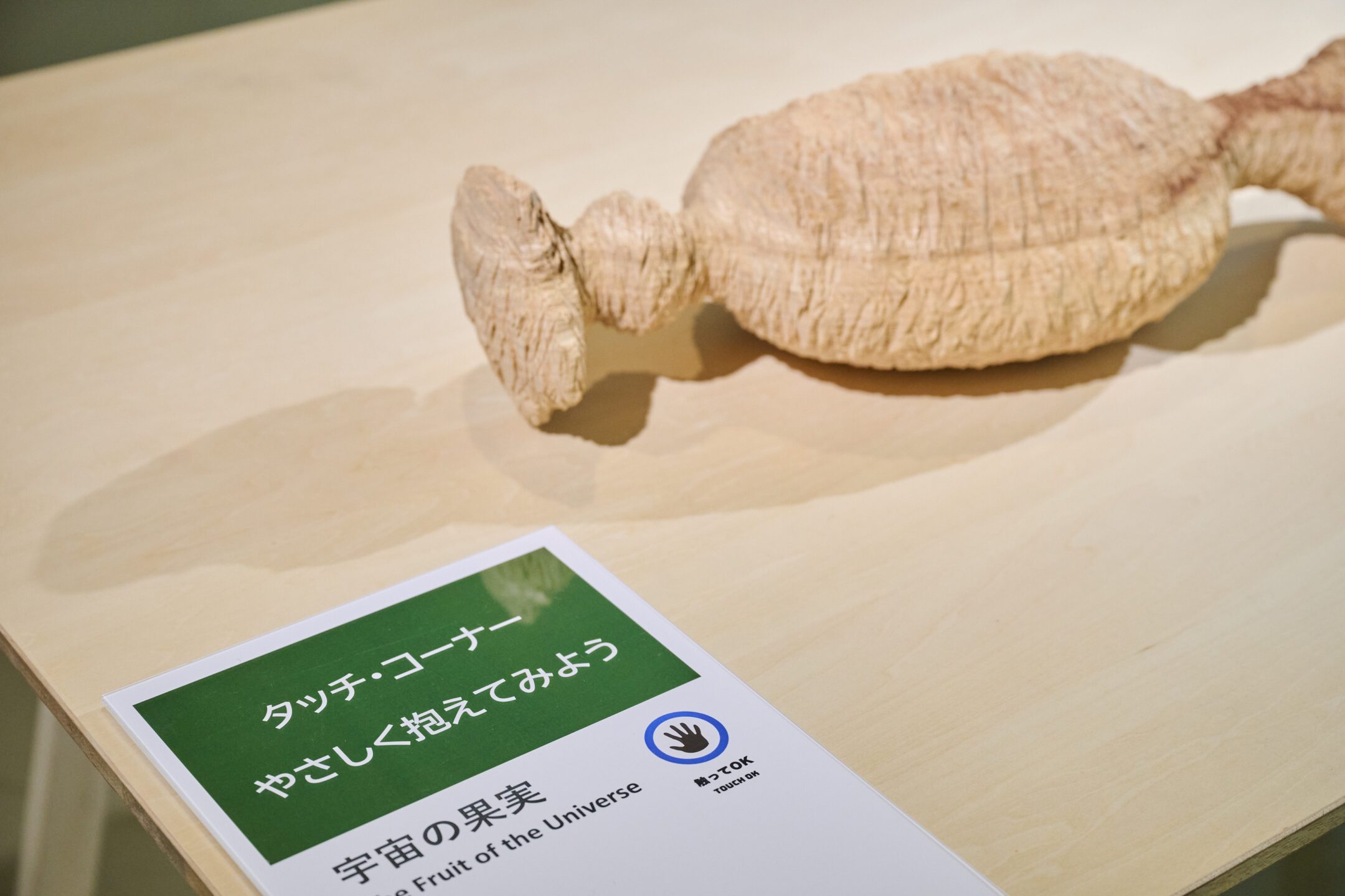 奈良県立美術館で開催中！奈良ゆかりの現代作家展「安藤榮作 ―約束の船―」から見る吉野材の文化的な広がり