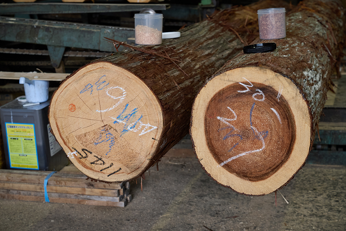 三⼾なつめさんと歩く、木のまち吉野を五感で感じた『よしのウッドフェス2025』レポート