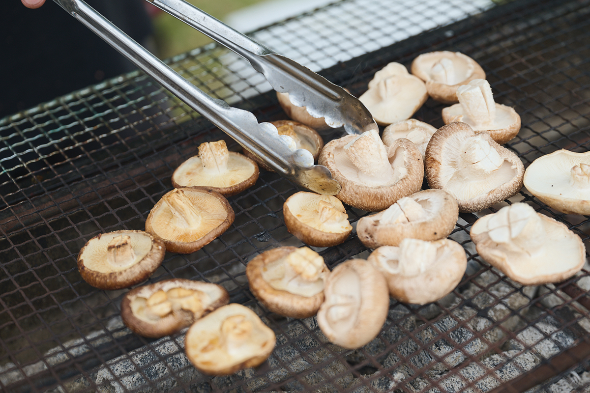三⼾なつめさんと歩く、木のまち吉野を五感で感じた『よしのウッドフェス2025』レポート