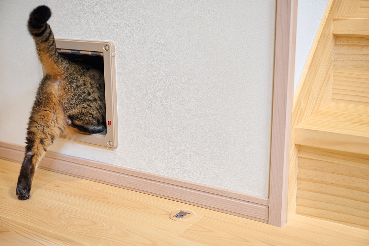 奈良の木と暮らす選択。こだわりを重ねた“建て替え”で見つけた住まいの心地よさとは？