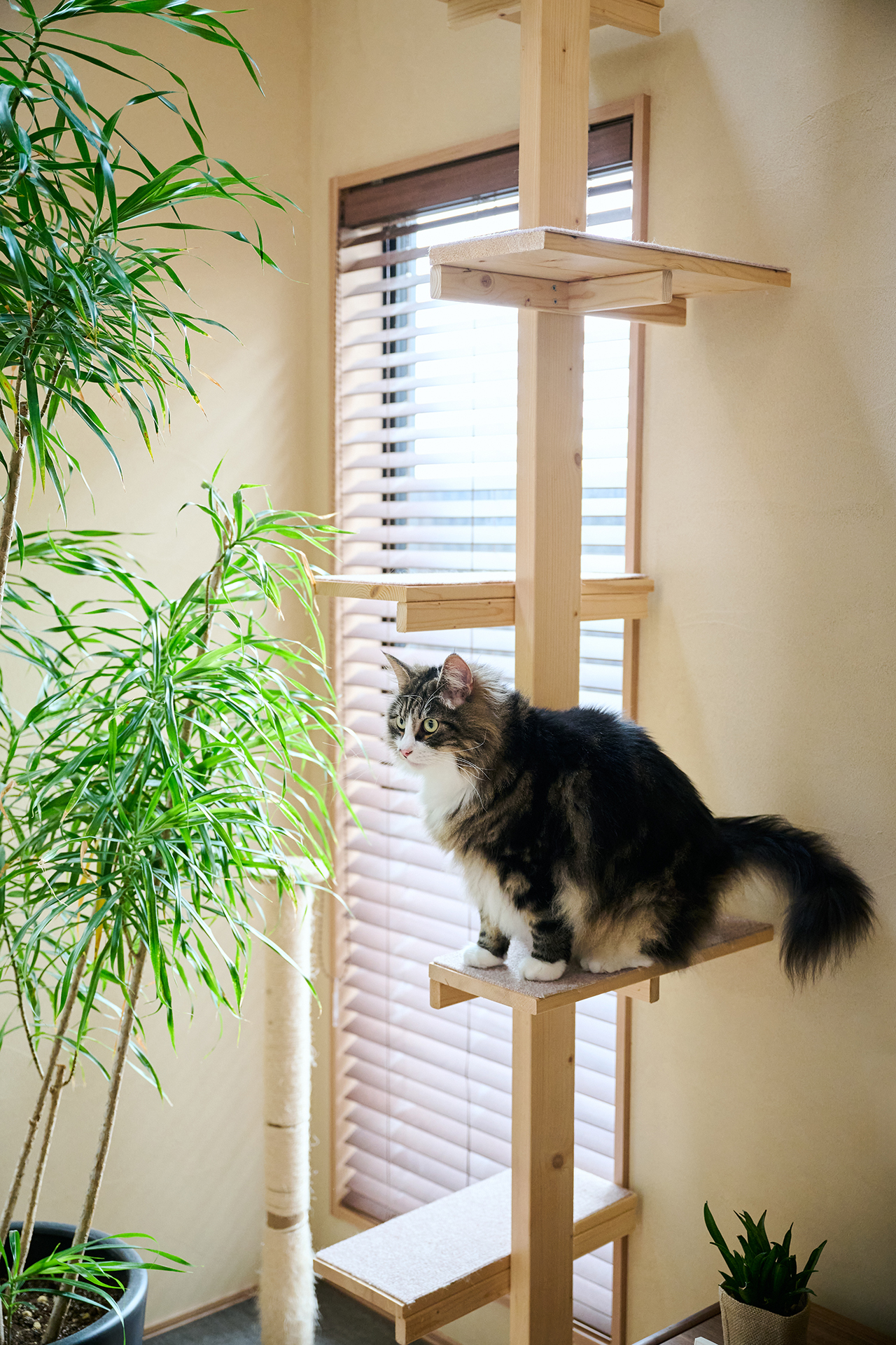 奈良の木と暮らす選択。こだわりを重ねた“建て替え”で見つけた住まいの心地よさとは？