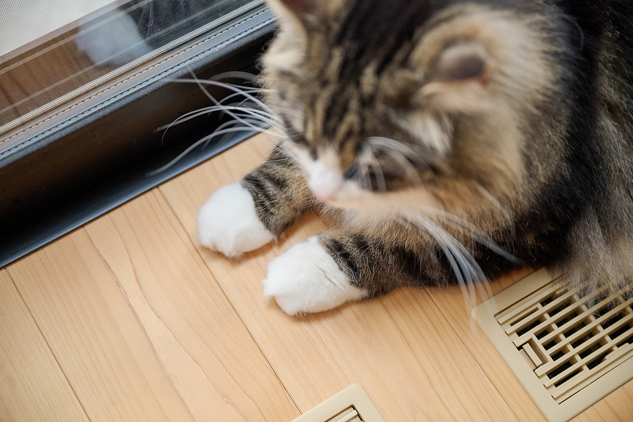 奈良の木と暮らす選択。こだわりを重ねた“建て替え”で見つけた住まいの心地よさとは？